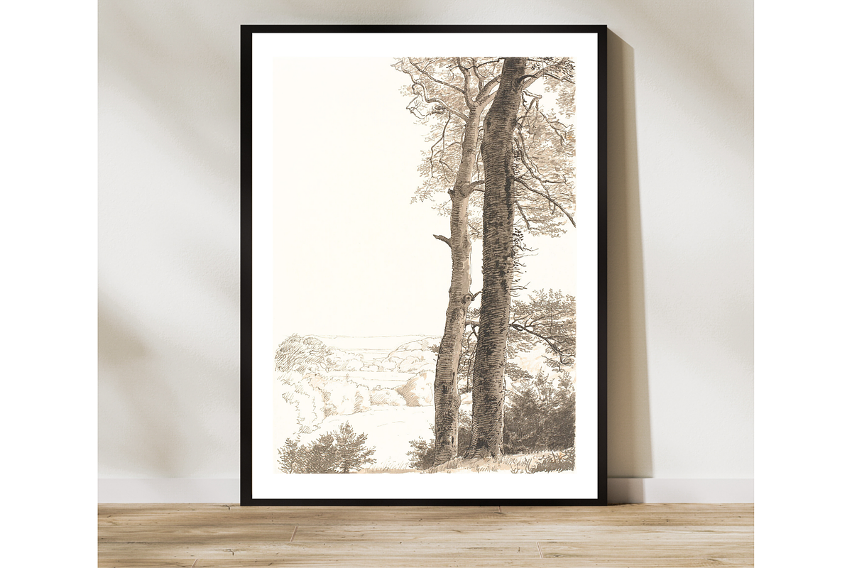 Vintage Tree Sketch PNG, a Decorative Illustration by Pink_bloom (Photo 2 of 8)