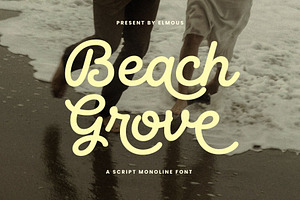 Beach Grove - Script Monoline Font