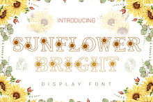 Sunflower Bright