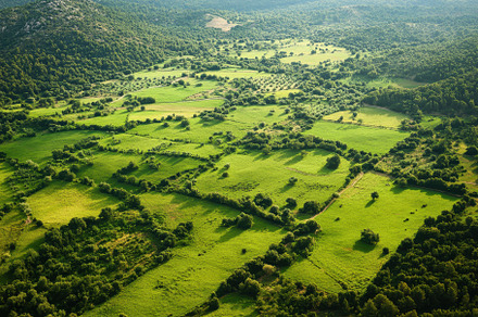 Expansive panorama of green meadow h, a Photo by Iftikhar Alam