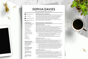 Professional Resume Template Word