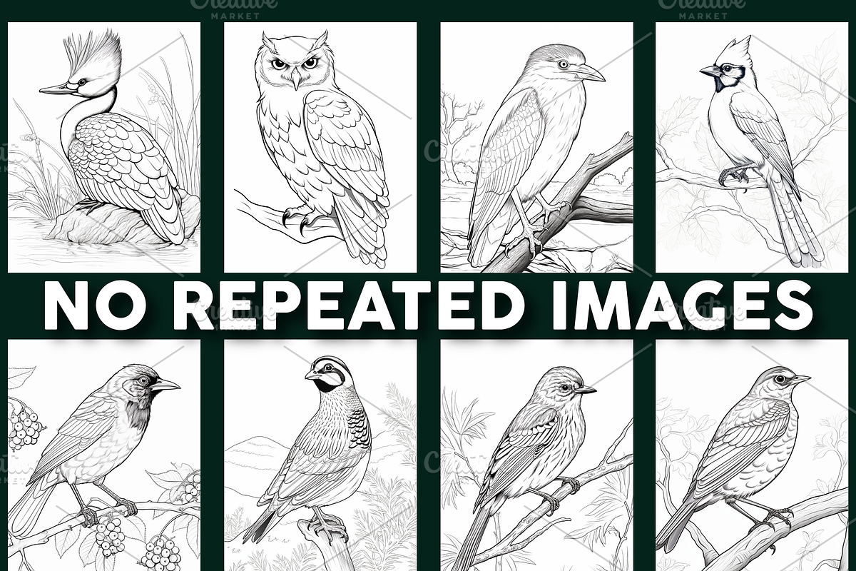 100 Bird Coloring Pages For Adults, an Object Graphic by Design Station (Photo 4 of 5)