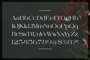 Orcars | Classic Serif Font, a Serif Font by gracetype_studio (Thumbnail 10 of 12)