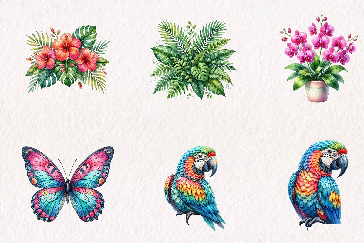 Tropical Floral Plants & Frames Set, a Seasonal Illustration by CreationArt (Photo 2 of 7)