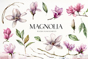 Magnolia flower leaves Watercolor, an Object Graphic by Yuliya Derbisheva (Thumbnail 9 of 13)