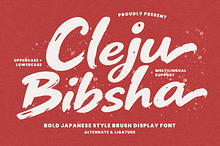 Cleju Bibsha Japanese Style Brush