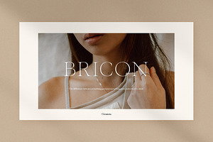 Bricon - Powerpoint Presentation