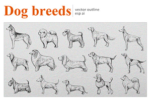 Dog breeds. Vector outline