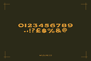 Wide West | A Hand Lettered Typeface, a Handwritten Font by Wildline.Co (Thumbnail 3 of 5)