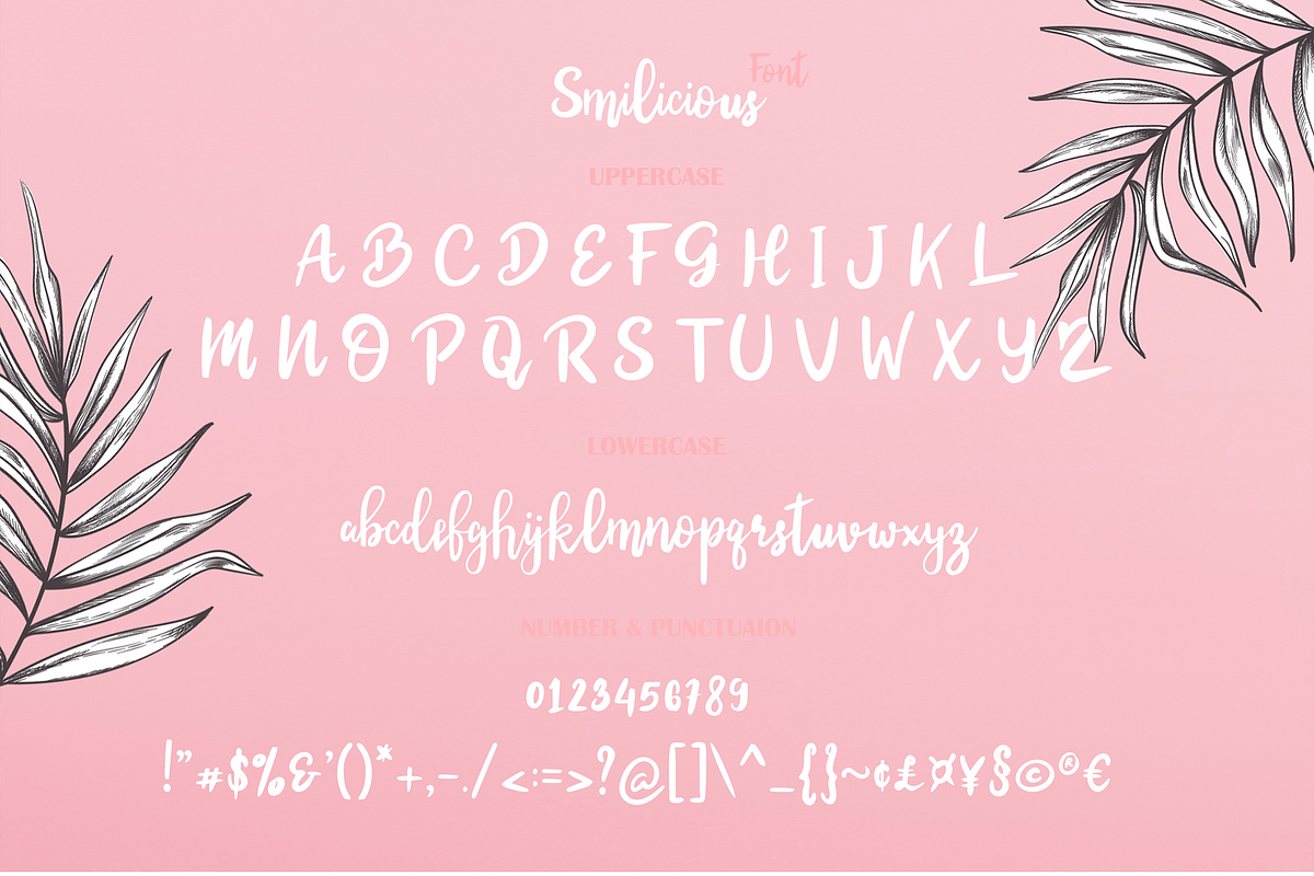 Smilicious - Signature Font, a Script Font by erlosDESIGN (Photo 10 of 10)
