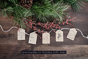 Leaves and Twigs font trio & extras, a Script Font by Ana's Fonts (Thumbnail 11 of 17)