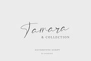 Silverstone - Calligraphy Font, a Script Font by Arendxstudio (Thumbnail 3 of 8)