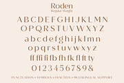 Roden, a Sans Serif Font by Larin Type Co. (Thumbnail 15 of 15)