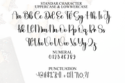 Diamond Handwriting, a Handwritten Font by FreshTypeINK (Thumbnail 2 of 8)