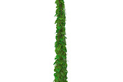 Wall of vines, an Environmental 3D Model by AndrewWhite (Thumbnail 2 of 5)