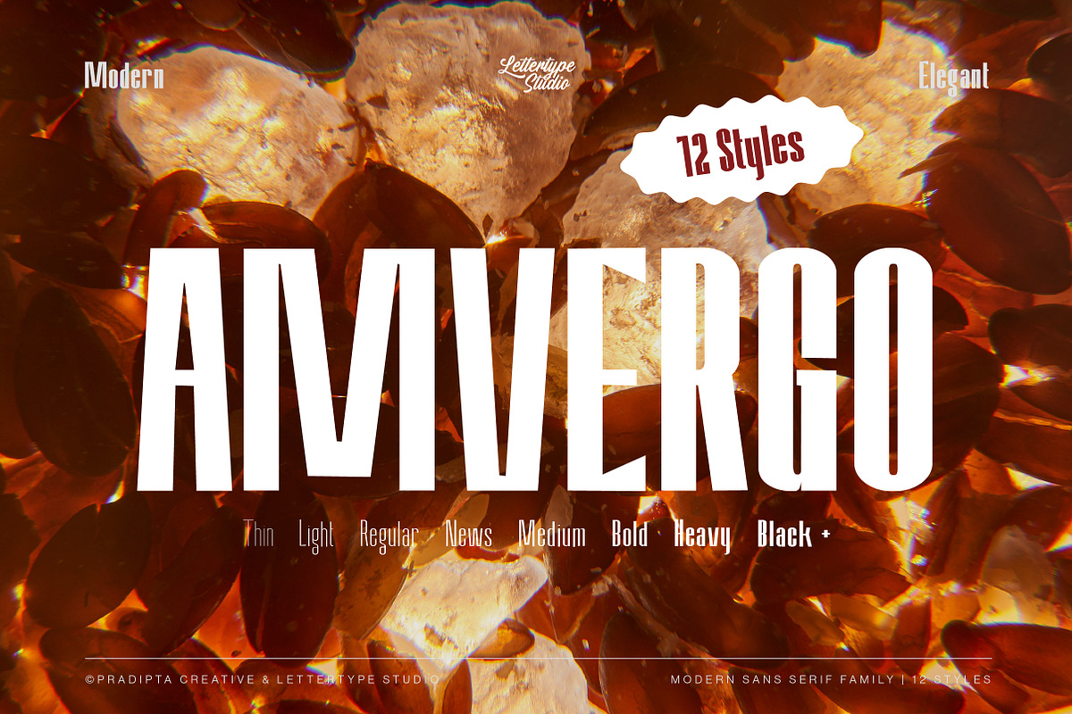 Amvergo Modern Sans Family, a Sans Serif Font by Lettertype Studio (Photo 1 of 18)