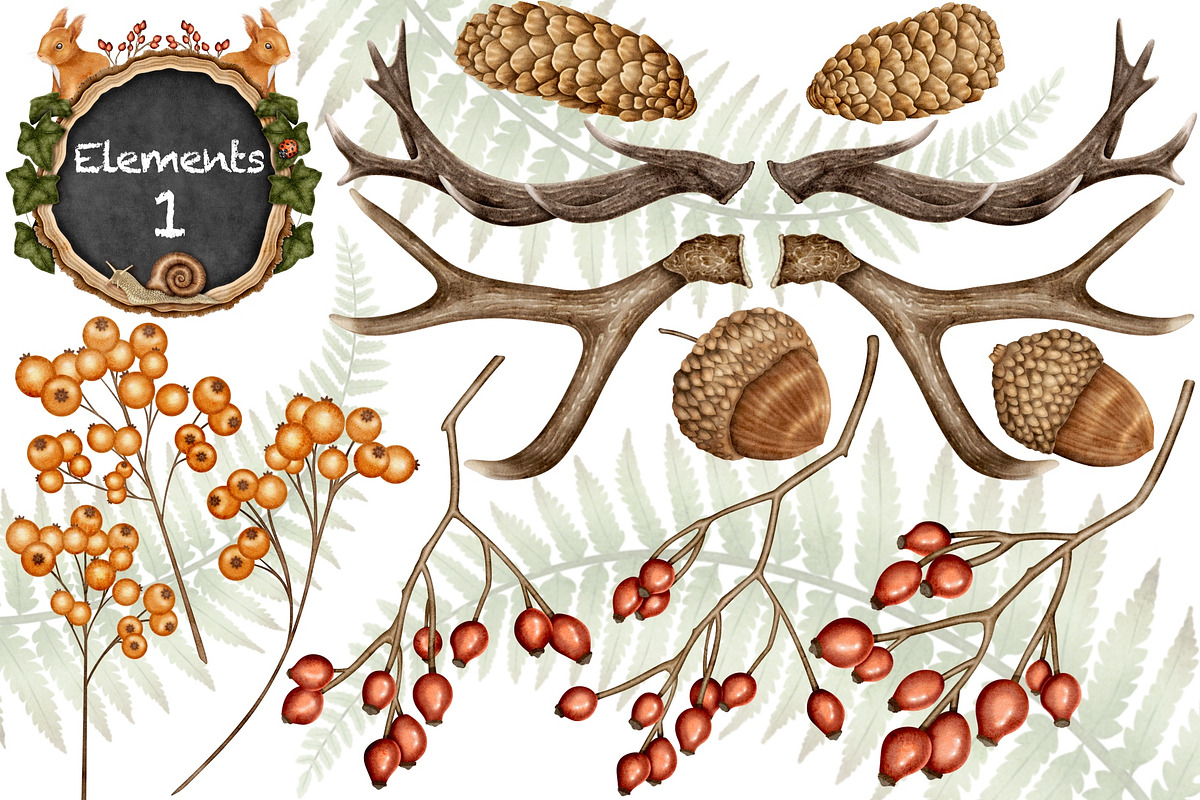 Forest Wonders Watercolor clipart, an Illustration by Happy Sloth Graphics (Photo 3 of 16)