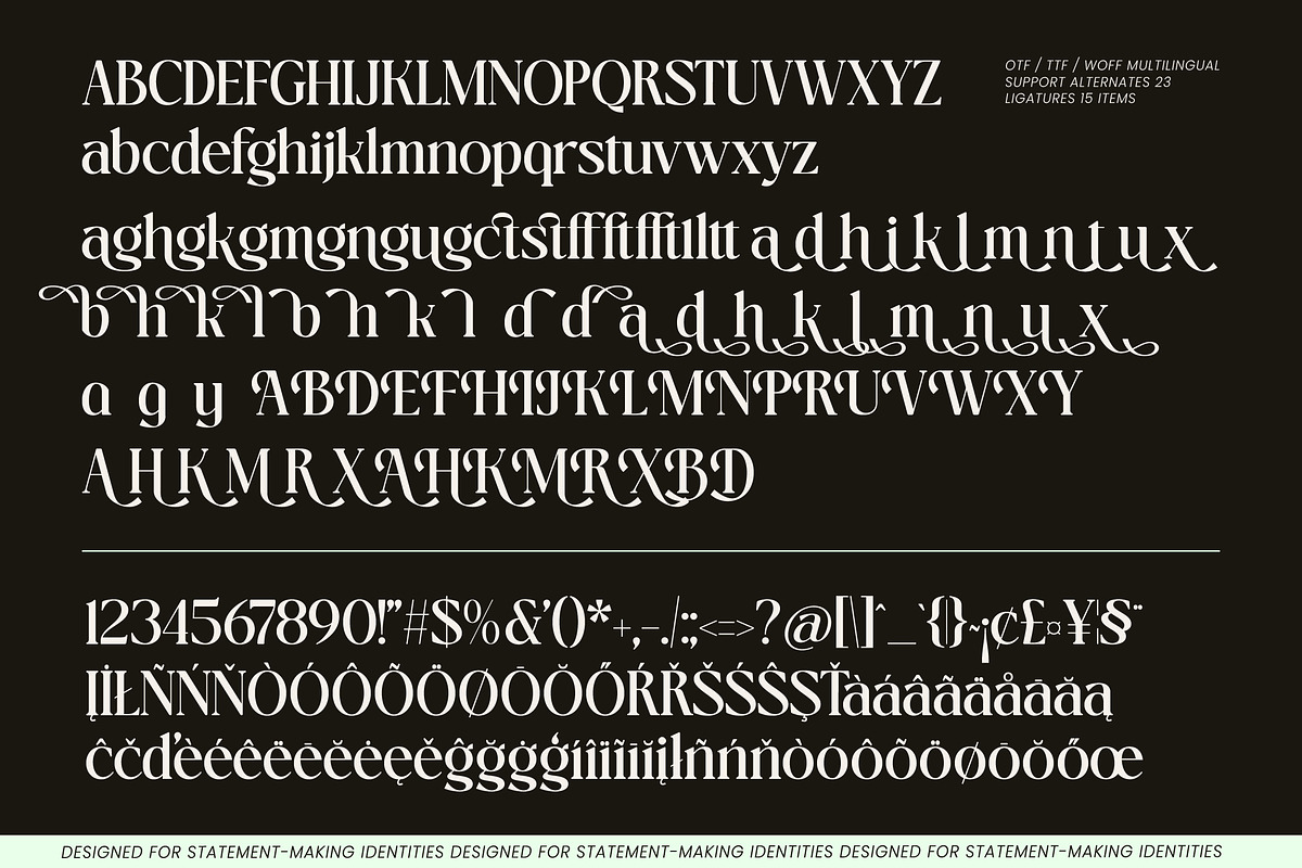 Markello Decorative Swashes Serif, a Serif Font by AmorfaType (Photo 8 of 8)