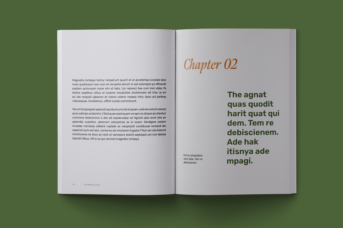 History Book Print Template, a Stationery Template by Meknya (Photo 4 of 14)