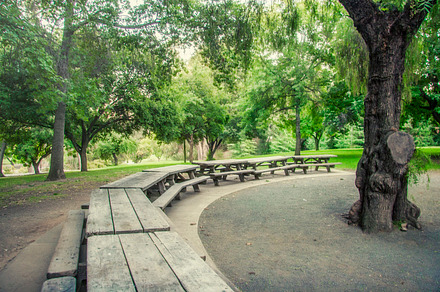 Long Line of Picnic Tables (Photo)