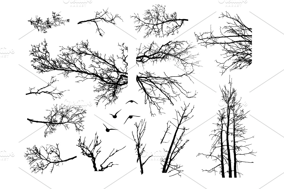 Naked trees silhouettes set. Hand, an Object Illustration by Nenahliadava Design