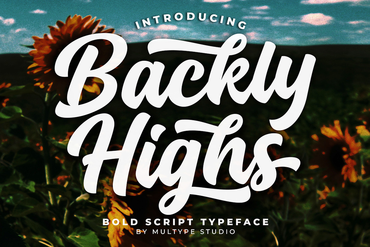Backly Highs - Title Brand Font, a Script Font by Multype Studio (Photo 1 of 8)