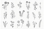 Wildflowers Vector Clip Art, a Decorative Illustration by Elena Nesterova (Thumbnail 2 of 4)