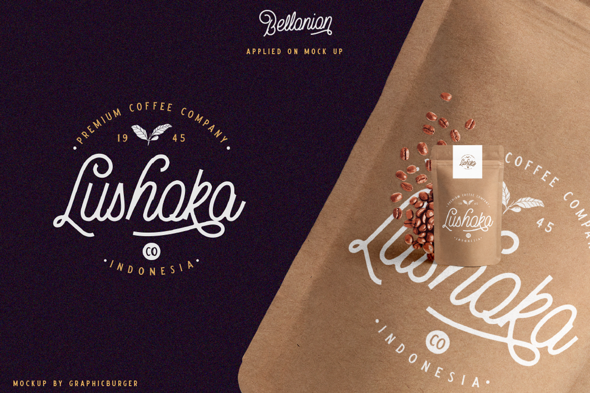 Bellonion Script ( font duo ) preview 5