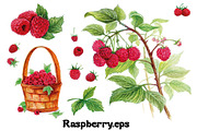 Fruits and berries collection_part 1, an Illustration by ZotovShop (Thumbnail 10 of 20)