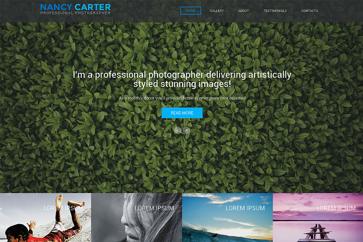 Nancy Carter One Page Theme, a Landing Page Template by IceTemplates (Photo 1 of 3)