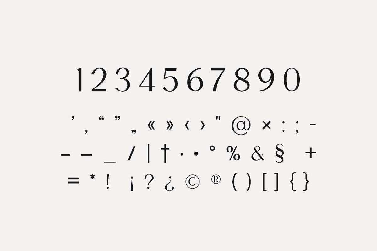 Nordstove Unique Serif Font, a Serif Font by UICreative (Photo 4 of 13)