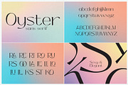 The Fashion Font Bundle (18 Fonts), a Serif Font by HipFonts (Thumbnail 9 of 18)