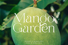 Mango Garden - Elegant Serif