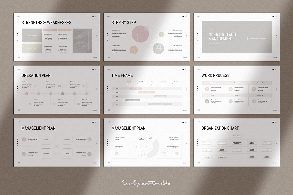 Business Plan PowerPoint Template, a Presentation Template by TemplatesForest (Photo 11 of 15)