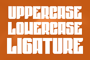 Raformal Brush, a Handwritten Font by QR Design Studio (Thumbnail 6 of 9)