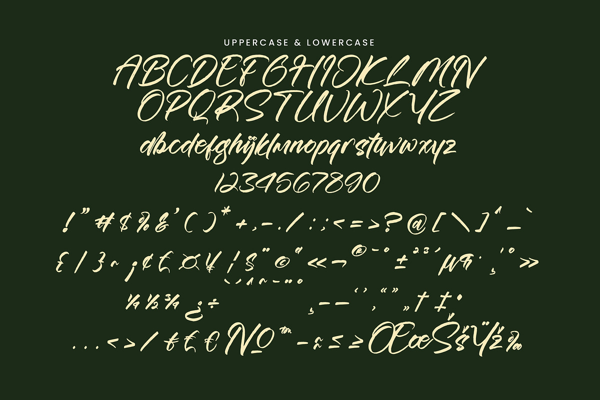 Esterdam, a Handwritten Font by operatype.co (Photo 13 of 15)