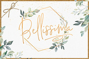 Bellissima Signature Script Font, a Script Font by Layerform Design Co. (Thumbnail 1 of 5)