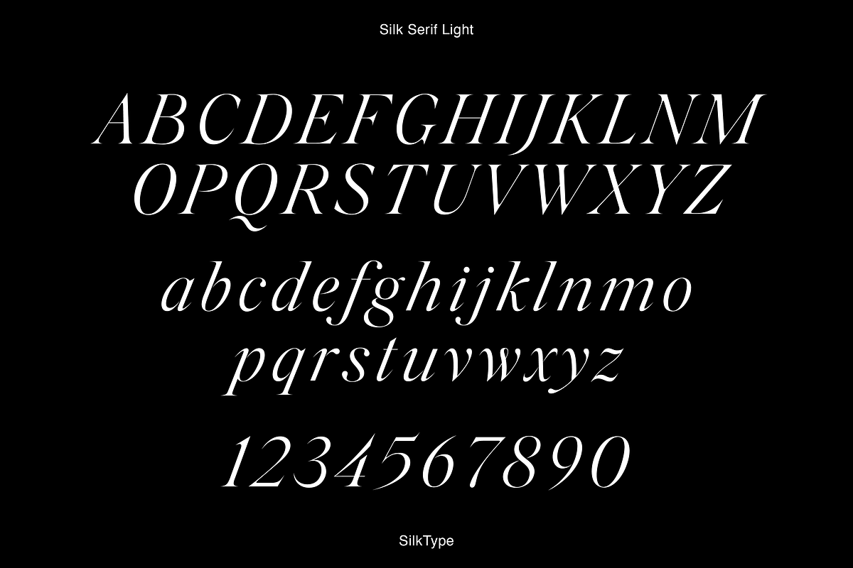 Silk Serif - 14 font family, a Serif Font by Silktype (Photo 17 of 17)