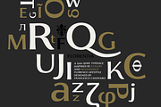 Florentia - 18 fonts, a Sans Serif Font by Zetafonts (Thumbnail 2 of 9)