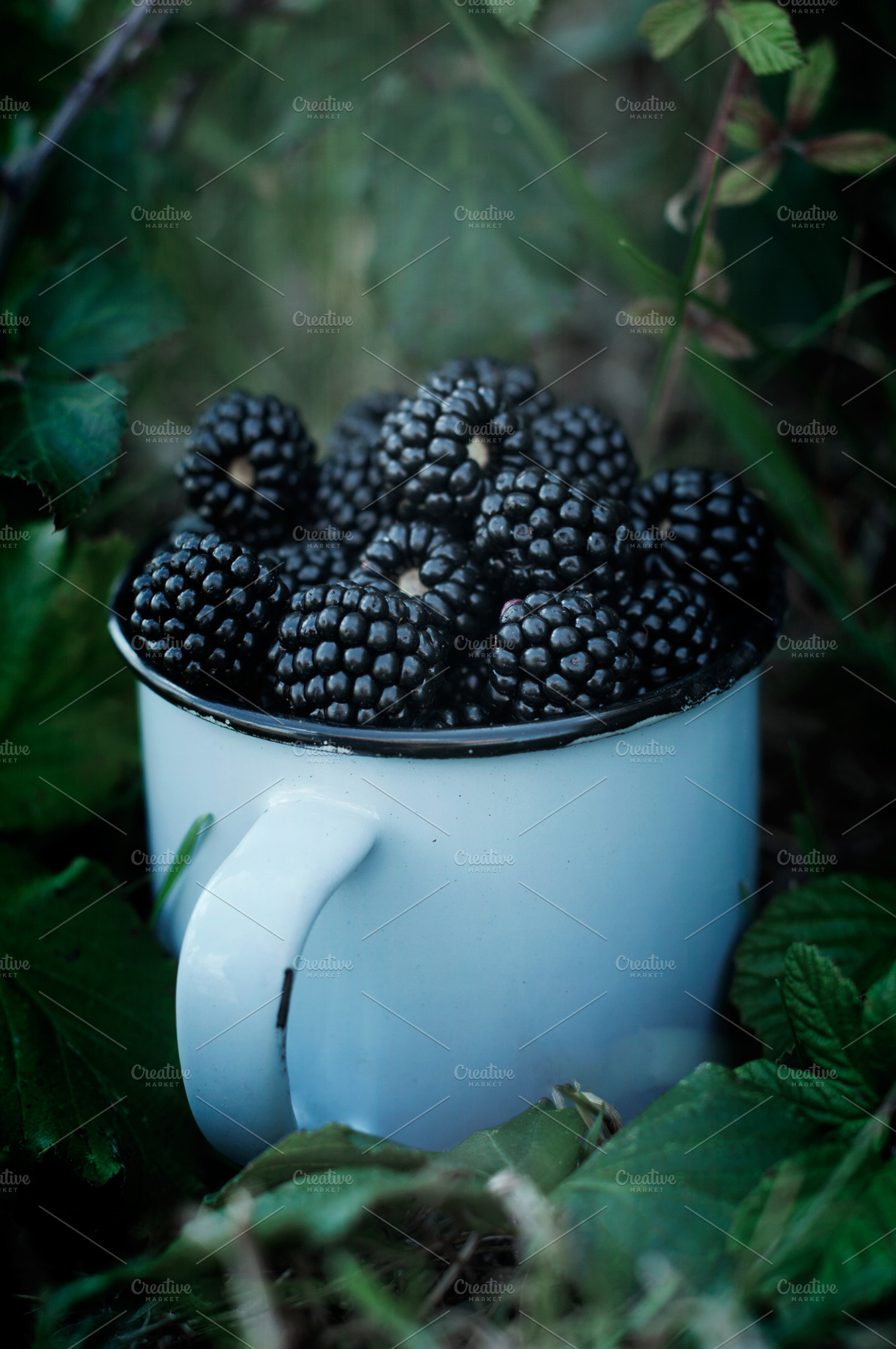 The Pickling Of Blackberries