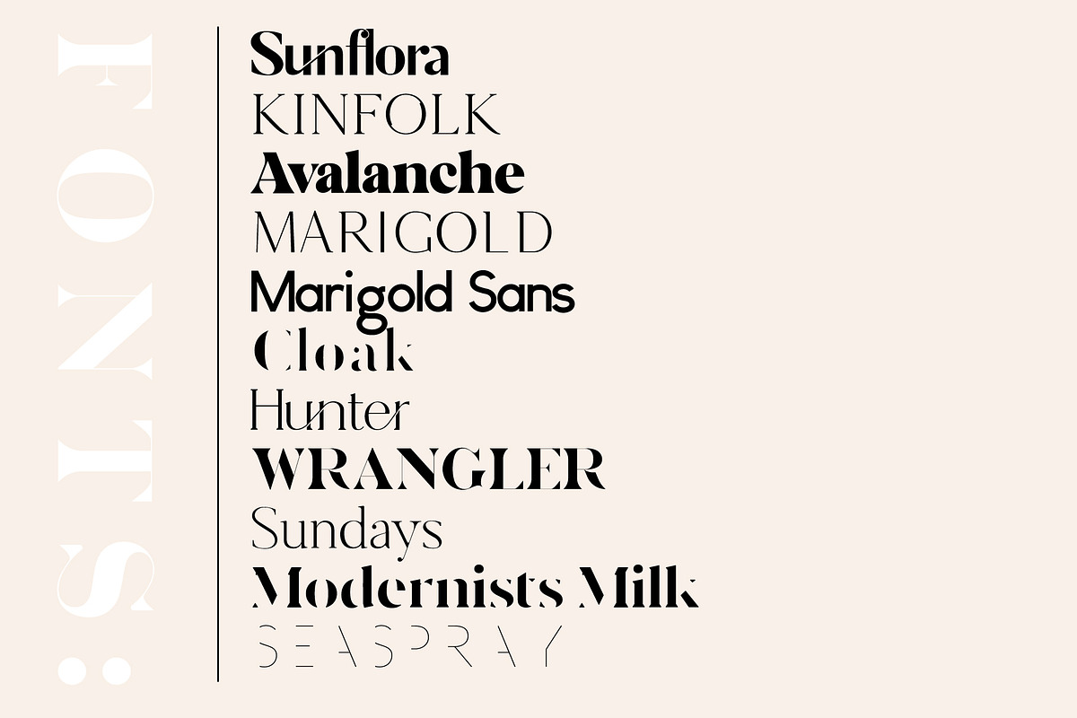 The Chic & Unique Modern Font Bundle, a Sans Serif Font by Tropical Type (Photo 2 of 40)