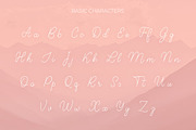 Clara Cake Script + emoji font, a Handwritten Font by Type Tale (Thumbnail 3 of 11)