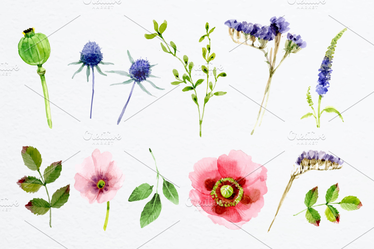 'Garden Morning' vector/raster set, an Illustration by Cheeba Ribba Designs (Photo 2 of 3)