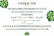 Giveny - Classy Serif Font (Update), a Serif Font by Craft Supply Co. (Thumbnail 5 of 9)