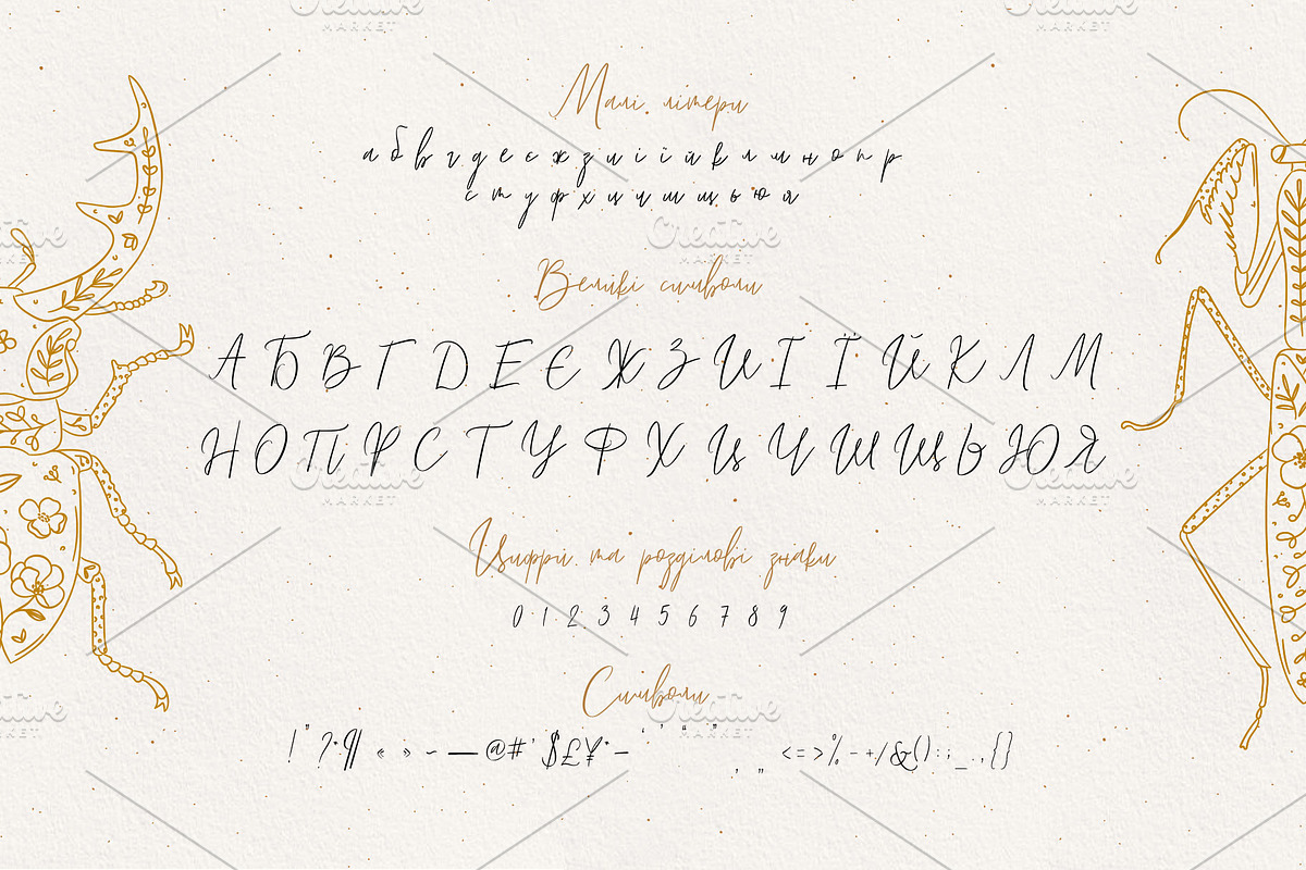 Lyuli Font Script, a Script Font by Anna (Photo 3 of 9)