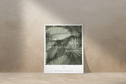 US Paper Mockup Set & Scene Creator, a Product Mockup by Cuoco (Thumbnail 3 of 8)