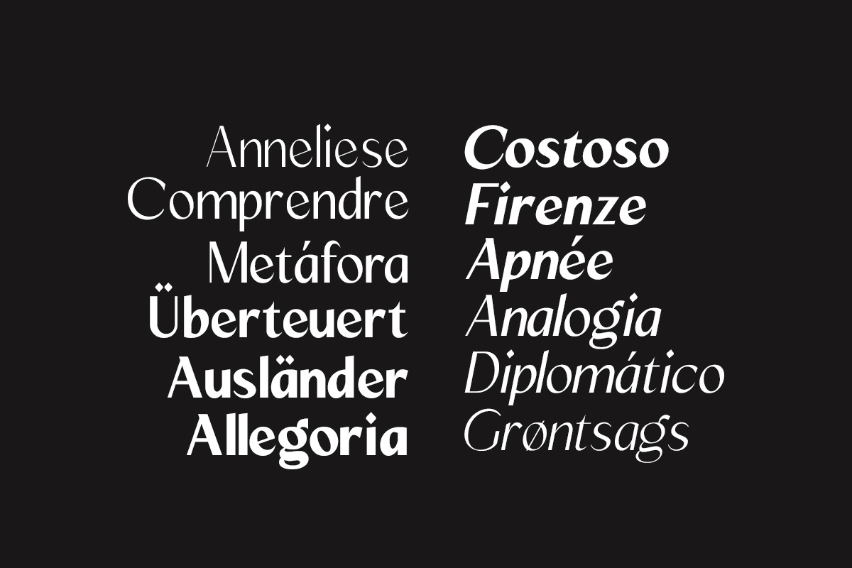 Mizhon Sans| 12 Fonts, a Sans Serif Font by Skinny Type (Photo 7 of 8)