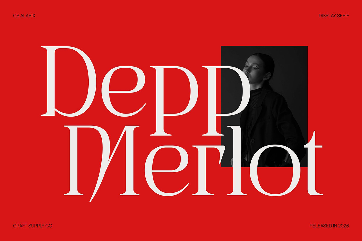 CS Alarix – Serif Display Font, a Serif Font by Craft Supply Co. (Photo 2 of 8)