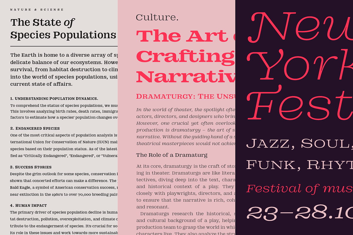 DT Augustina Slab 1 Subfamily, a Slab Serif Font by Deveze Type Foundry (Photo 20 of 31)