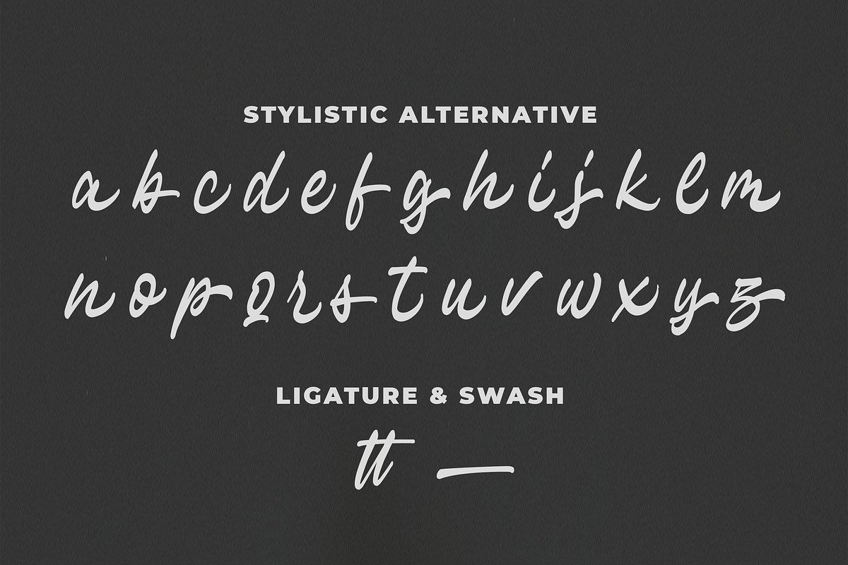 Hayline - Elegant Script Font preview 8